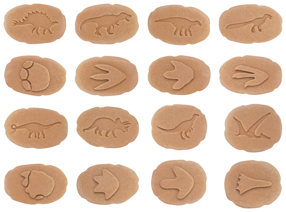 Reversible Stone Stamper Set - Dinosaur Footprints